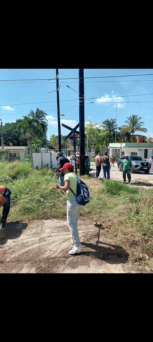 Trabajo voluntario en regla. Muestra de la unidad y la voluntad de hacer por Cuba.  Viva la Revolución. 
#MinalXMásAlimentos <a href="/AlbertoLopezcu/">Alberto López Díaz</a> <a href="/minalcuba/">Ministerio de la Industria Alimentaria de Cuba</a>