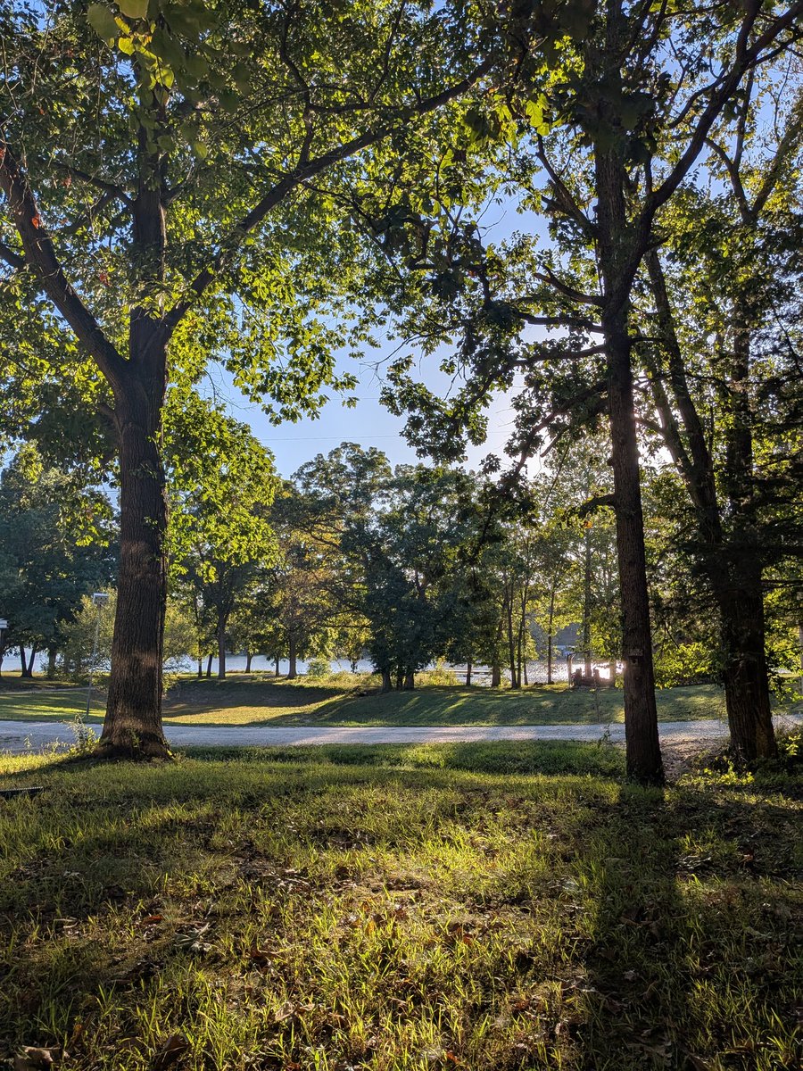 Still salty about the Cats. The view helps.