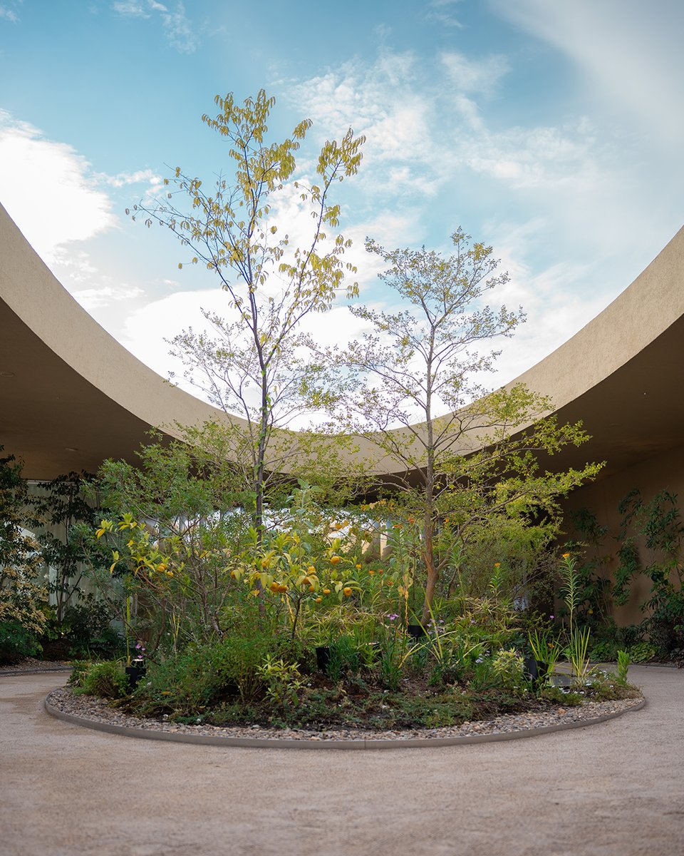 ◤／／
　　　 #EXPO2025
 　 PHOTO MEMORIES📸
　　　　　　　　　　　／／◢

Let’s look back on our memories of EXPO 2025📖
Which pavilion left the most impression on you?🌎

<a href="/NLexpo2025/">Netherlands Pavilion at Expo 2025 Osaka Kansai</a> <a href="/UKPavilion2025/">UK at World Expo 2025 Osaka, Kansai</a> #Indiapavilion #WomensPavilion
#EXPO2025Forever