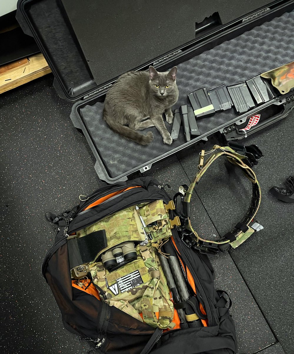 LucasBotkin's tweet image. Smudge supervising