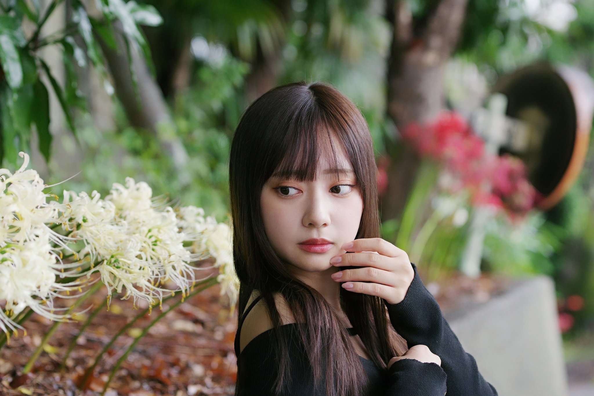 和風マクダニエル on X: 