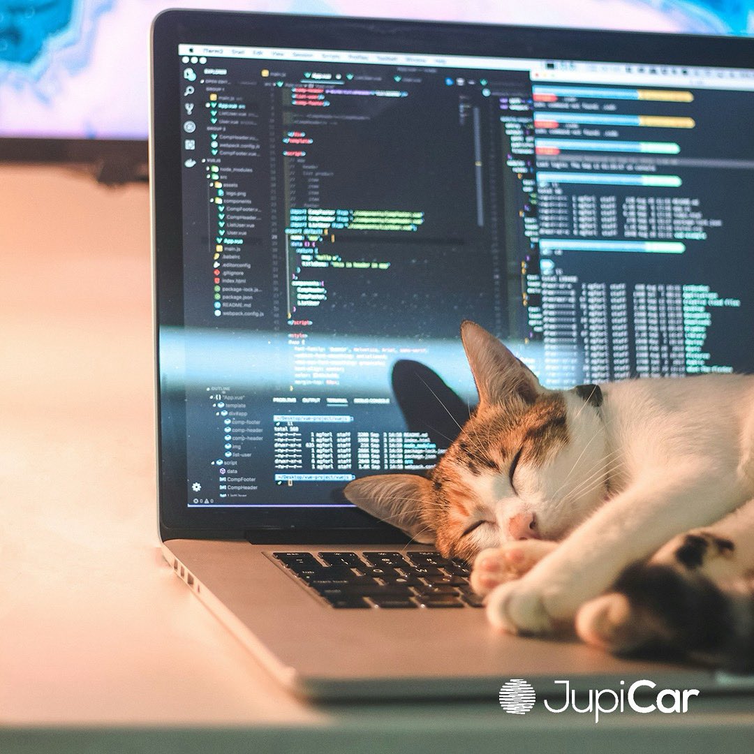 Jupicarcom's tweet photo. Coding in progress, cat in dreamland. 💻🐾
Happy #WorldAnimalDay from JupiCar!

#JupiCar #EmpoweringYourFleet

#WorldAnimalDay #TechWithHeart 
#CodingCat #AnimalLove #InnovationWithCare

#CarRentalSoftware
#FleetLeasingSoftware
#FleetSoftware
#RentACarSoftware
#RentalSoftware https://t.co/yfhN2ICa1F
