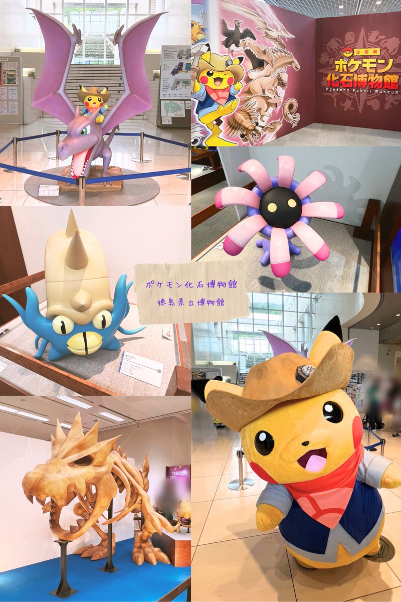 ポケモン化石博物館 - Hledat / X