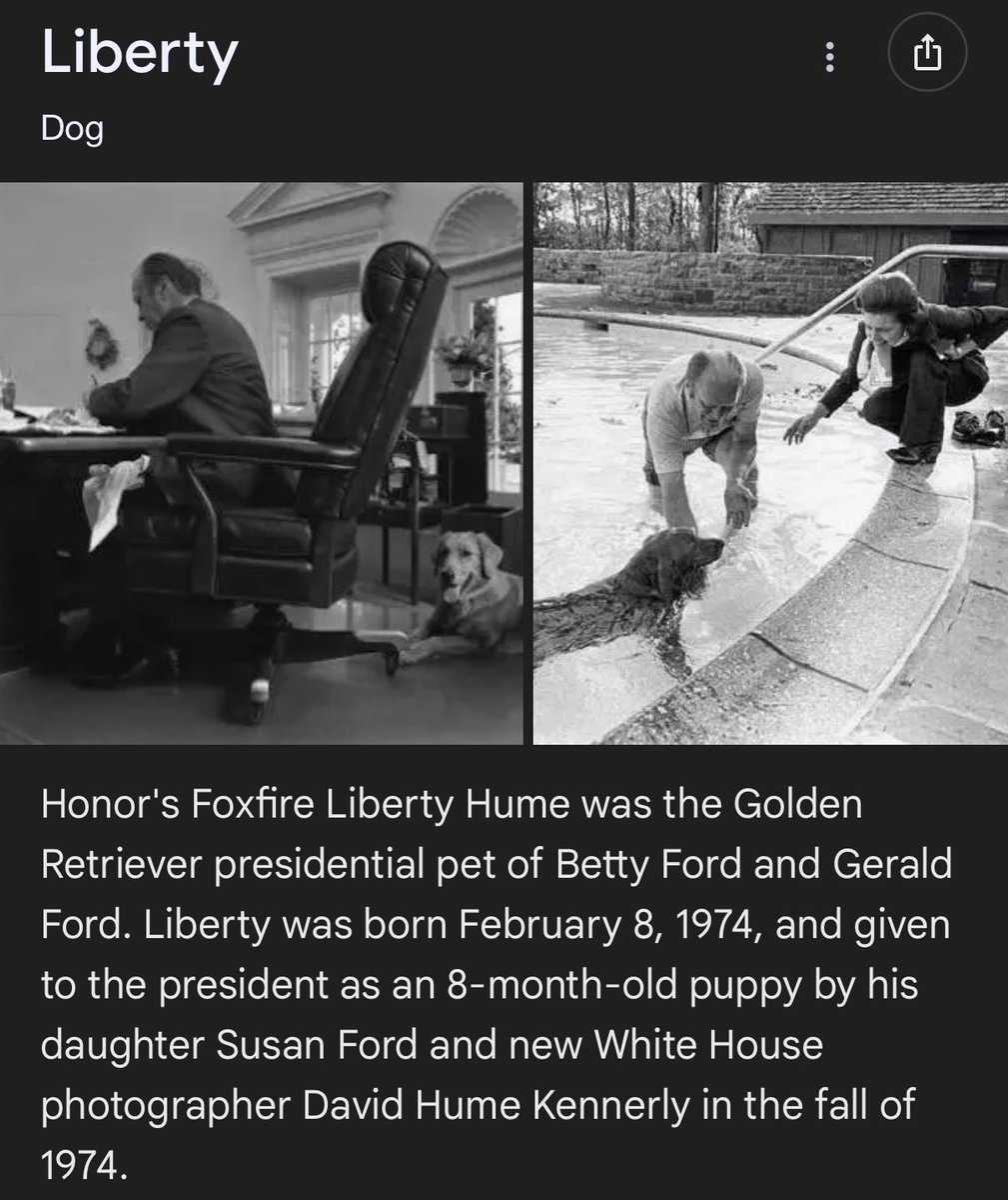 🚀 Liberty Dog — a project built on the narrative of Digital Freedom.

🐾 100% fair launch on 11.09.2025 via BLUM memepad
🔁 Successfully migrated to STON fi DEX
🎨 Limited NFT collection (256 items) live on Getgems
🐋 Exclusive Whale Chat (1% supply or NFT required)
🌐 800+