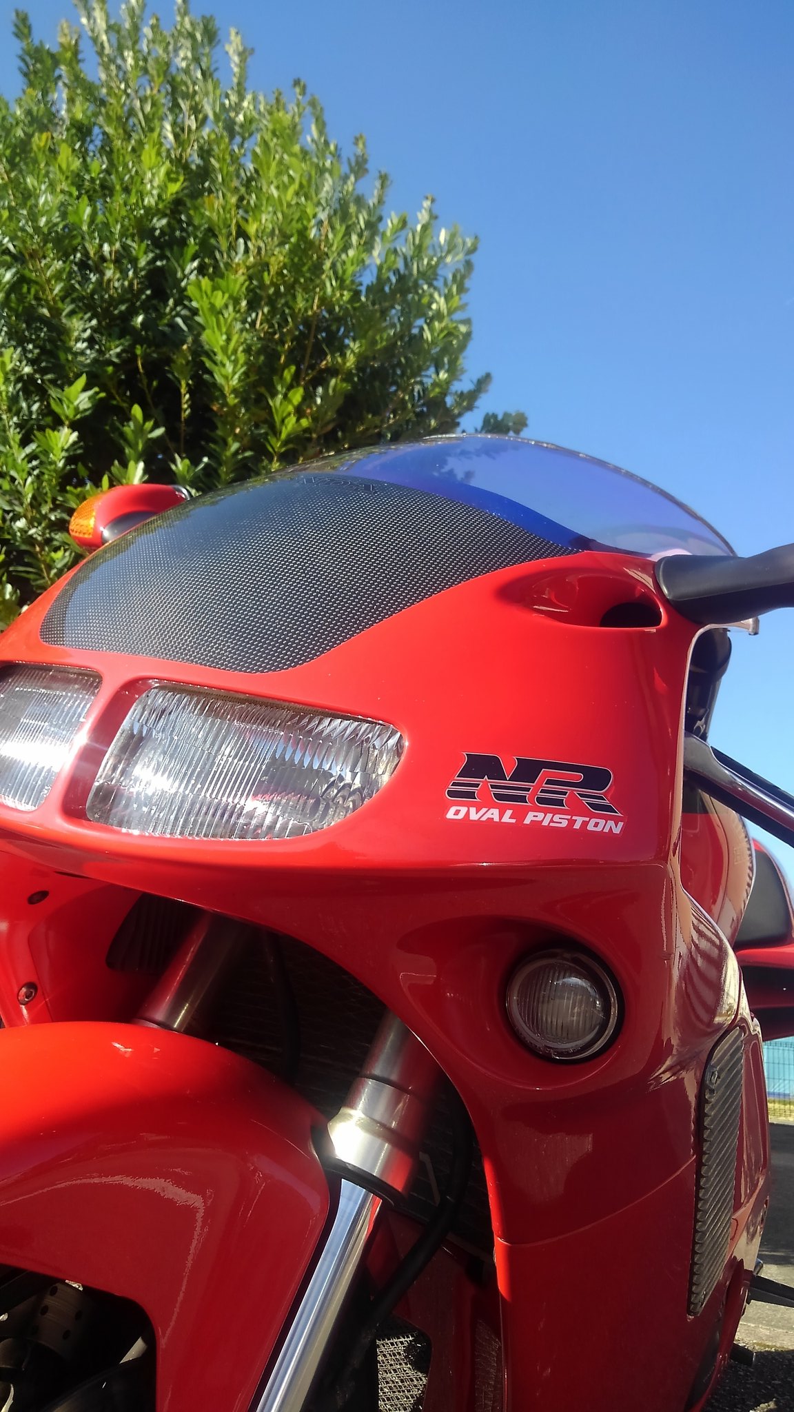 じろみ 楽天市場】【お買い物マラソン】 アディダス スニーカー