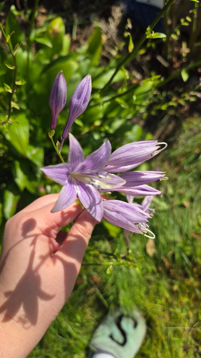 Update: Exhausting shift! My lower back hurts. Goodnight Twitter/X