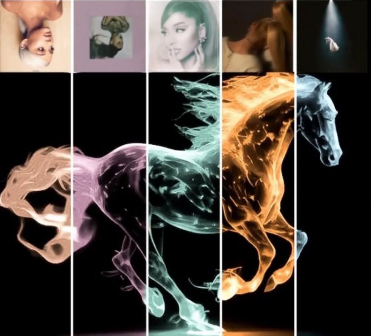 toph 𖣘 tweet media