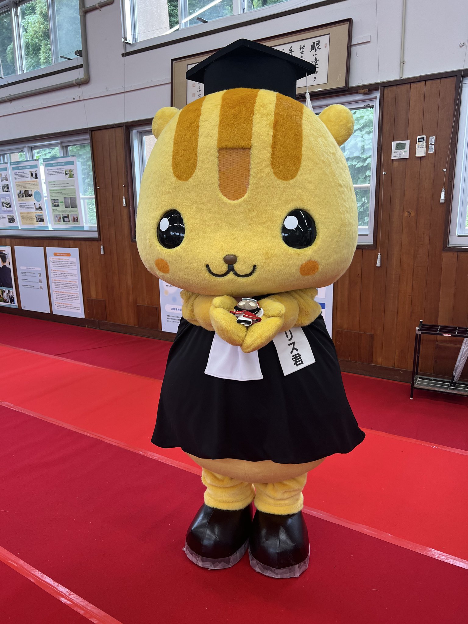 雨の日のねこ様♡ありがとうございます♡ kazu✨ on X: 