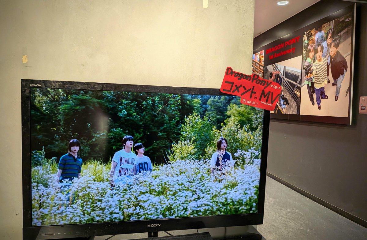 TOWER_Shibuya's tweet image. 【#タワ渋kpop】

＼来日まであと2⃣日!!／
タワレコ渋谷店限定特典付き『#NotOut』

5Fにて好評販売中～🐲🐴🎸

🎁渋谷店限定🎁
デビュー1周年記念フォトカード(4種ﾗﾝﾀﾞﾑ)
🔗towershibuya.jp/news/2025/10/0…

#DragonPony から届いた日本語コメント＆MVも‼🎥
ぜひチェックしてください✨

@DragonPony_