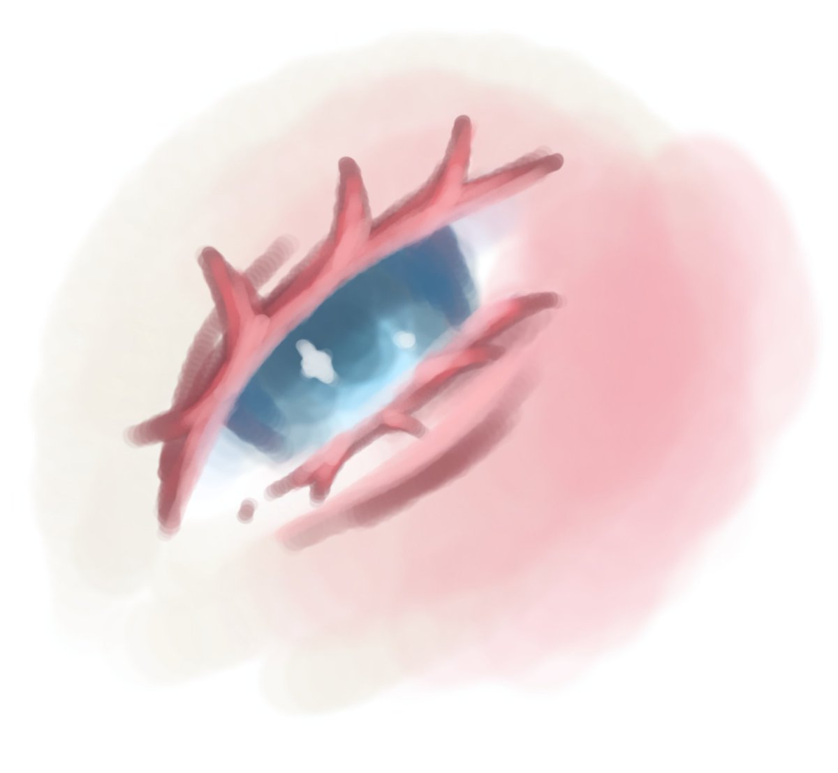 iiisab3lll's tweet photo. tried this brush once just for fun now i lost it🤕 https://t.co/hnGoo3fbWP