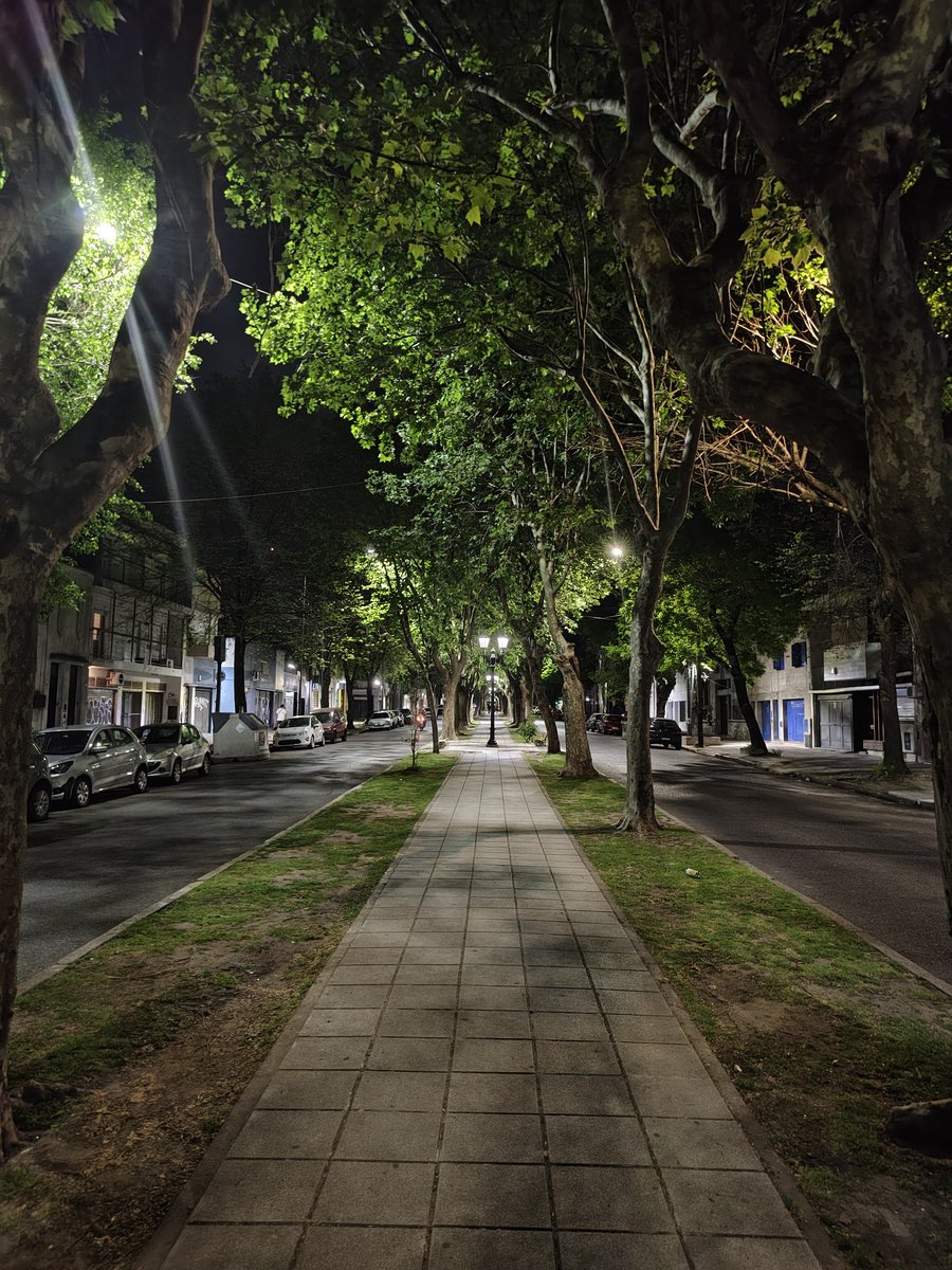 Hay algo más lindo que La Plata entre octubre y diciembre?