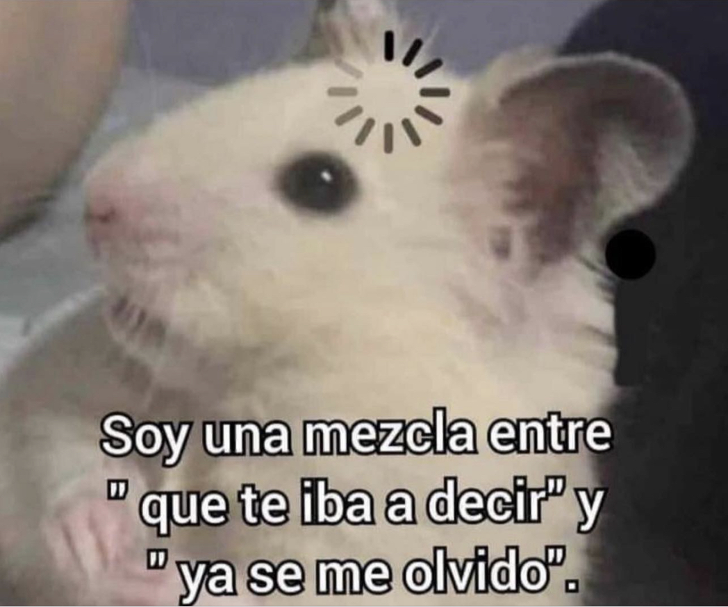 Efectivamente.