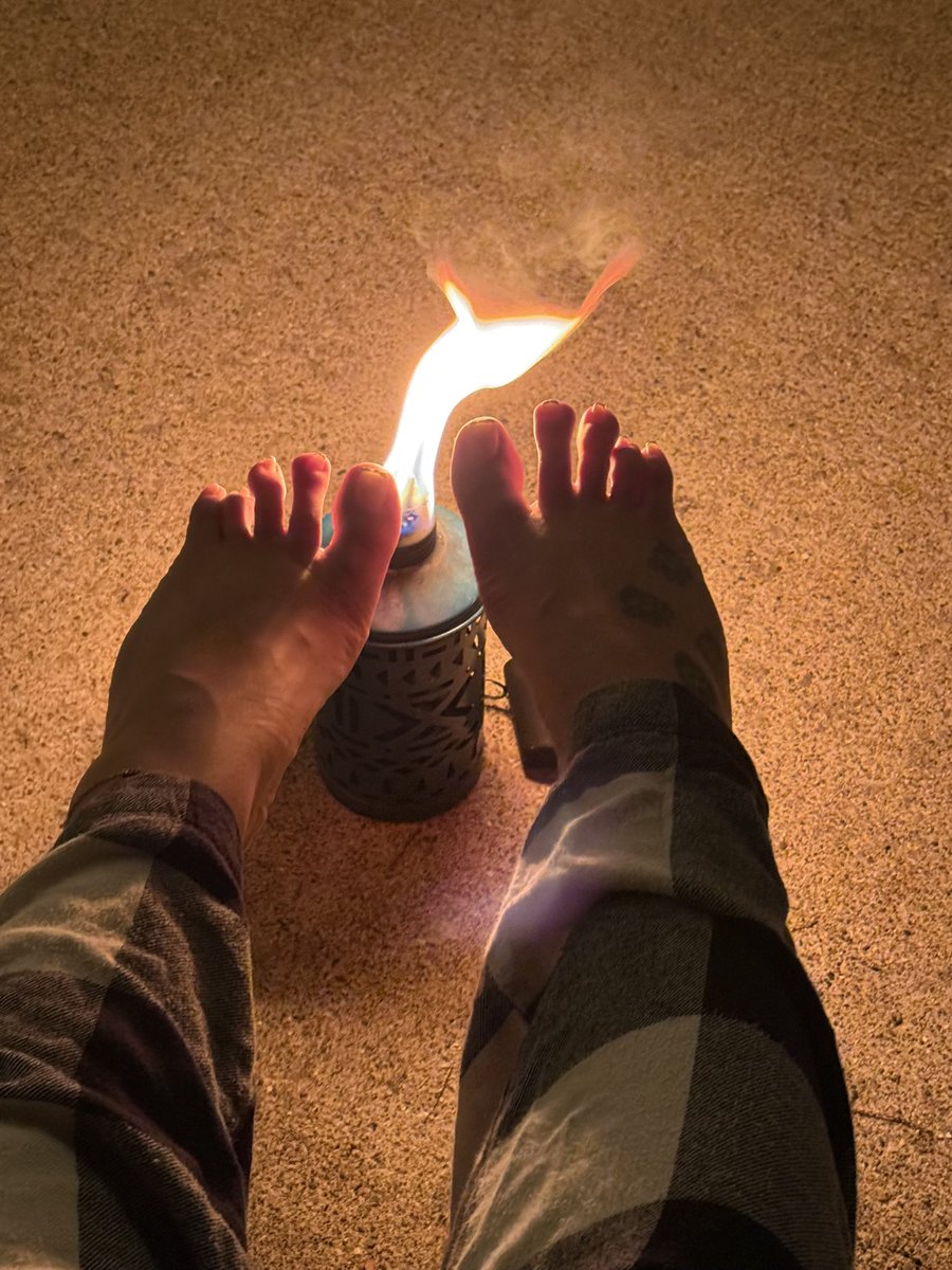 NaturalPaws's tweet photo. Toe spread 😛 https://t.co/4q8m692RnG