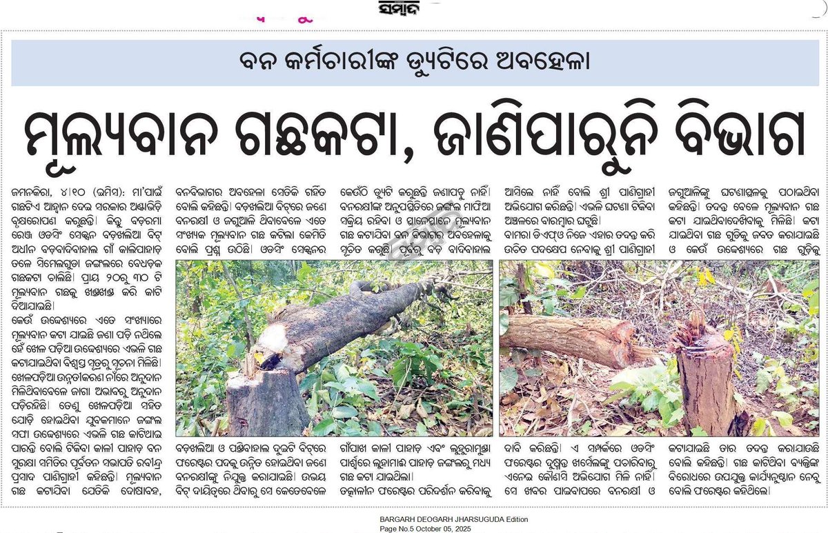 rajendrajkr's tweet photo. @PCCFWL_Odisha ,@pccfodisha , @DmSambalpur ,@DFO_Bamra 
ସମ୍ବଲପୁର ଜିଲ୍ଲା ବଡ଼ରମା ରେଞ୍ଜ ଅନ୍ତର୍ଗତ ଓଡସିଂ ସେକସନ୍ ଅଂଚଳ ରେ ଅବାଧ ମୂଲ୍ୟବାନ ଗଛ କଟା ଖବର ଉପରେ ଉପଯୁକ୍ତ ତଦନ୍ତ ସହ ଦୃଷ୍ଟାନ୍ତମୂଳକ କାର୍ଯ୍ୟନୁଷ୍ଠାନ ଗ୍ରହଣ କରନ୍ତୁ। https://t.co/Ugb3xtpOnP