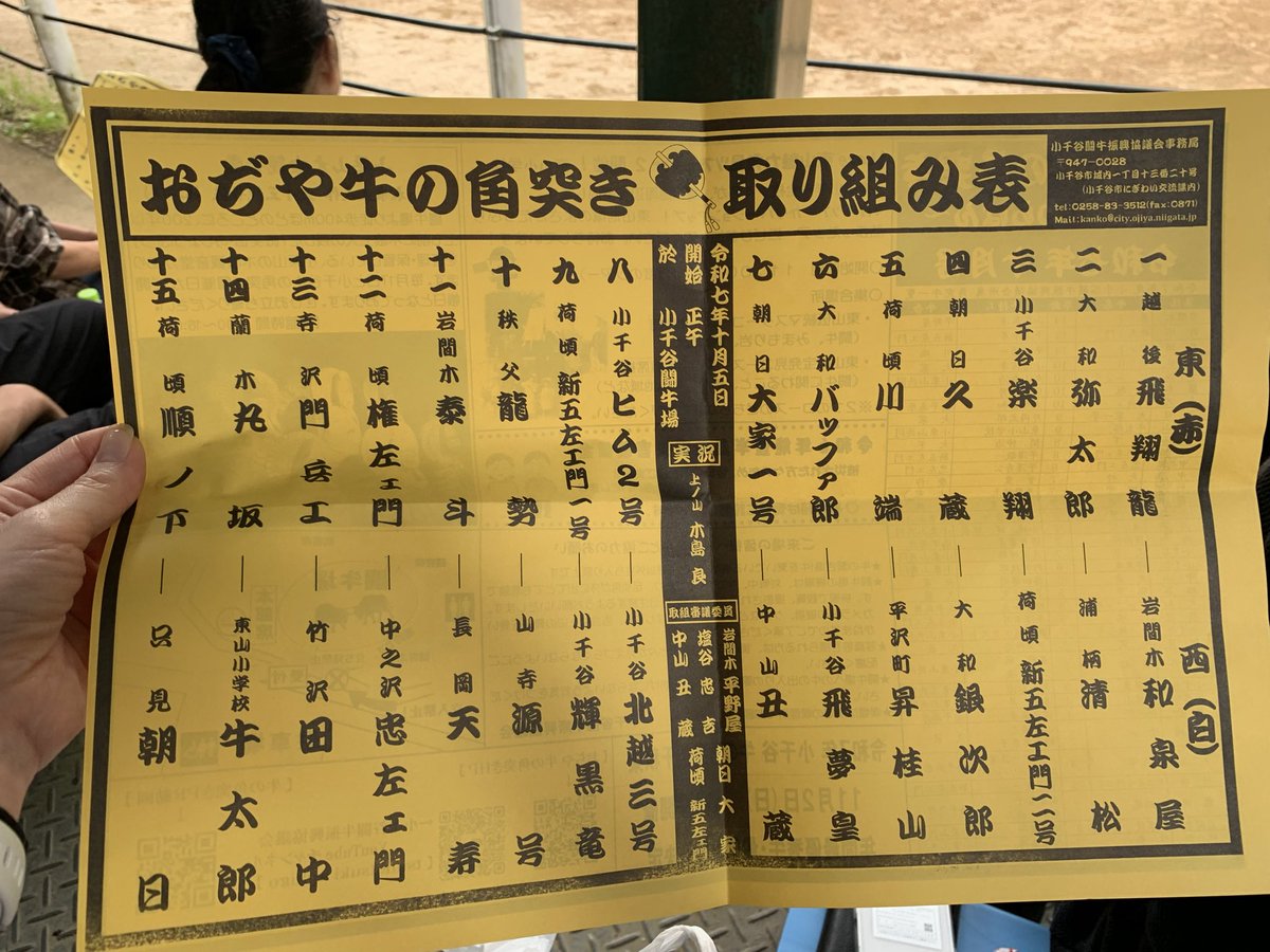 なんと今日は初の小千谷牛の角突きに来ています。ファンクラブTとおしゃれTでデジタル村民アピール！山古志から龍勢がでるみたいです🐃🐃
#牛の角突き　#小千谷闘牛