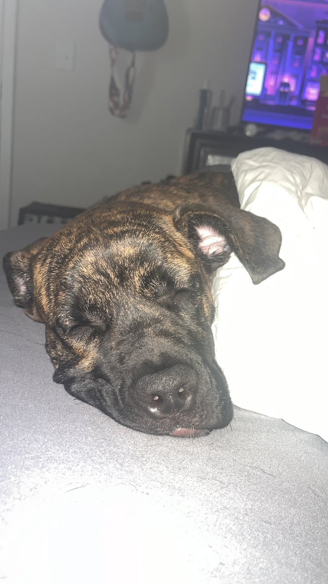 Khy A.K.A Haze💨🍃 tweet media