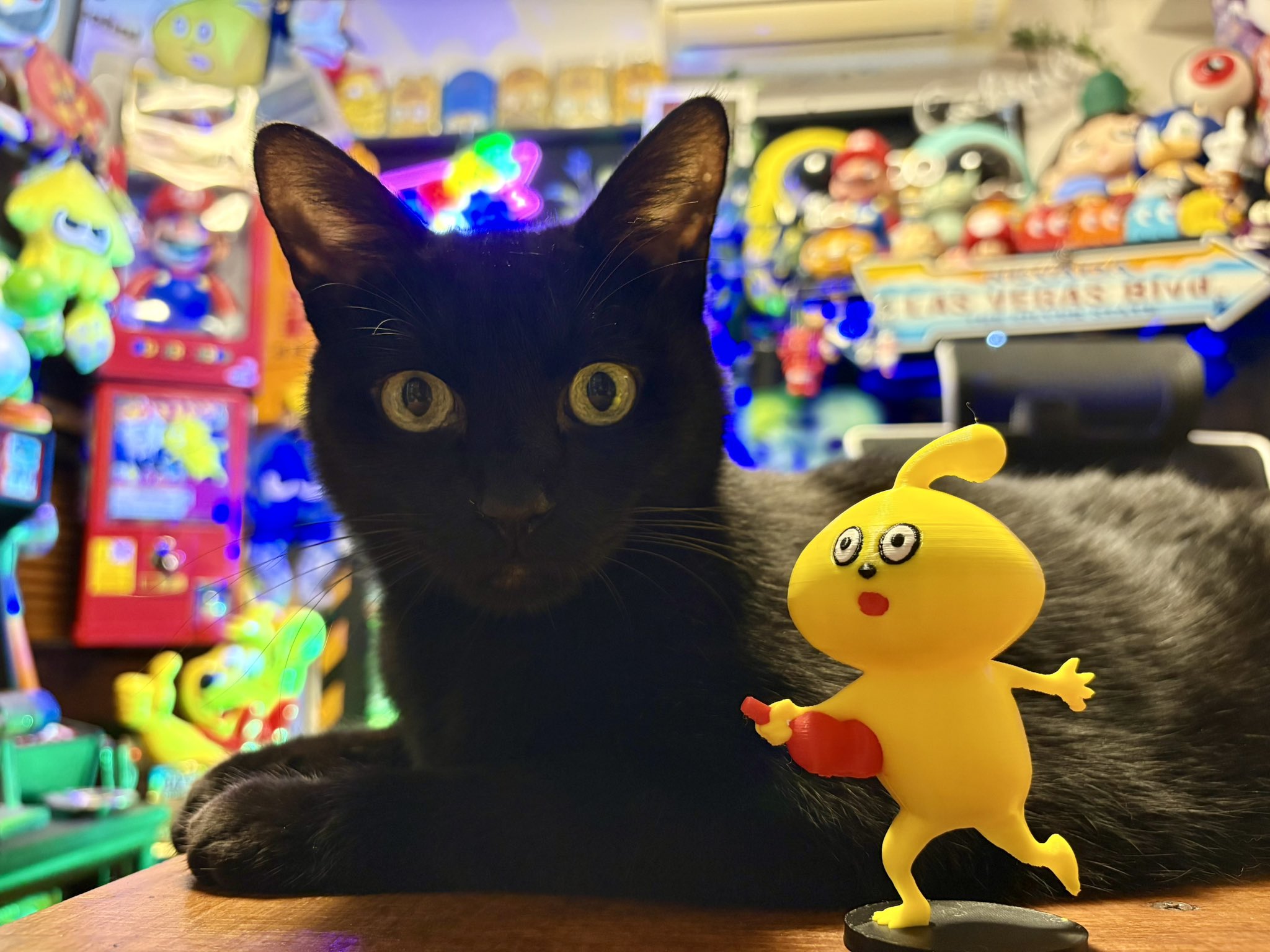 おせちちゃん🍱 on X: 