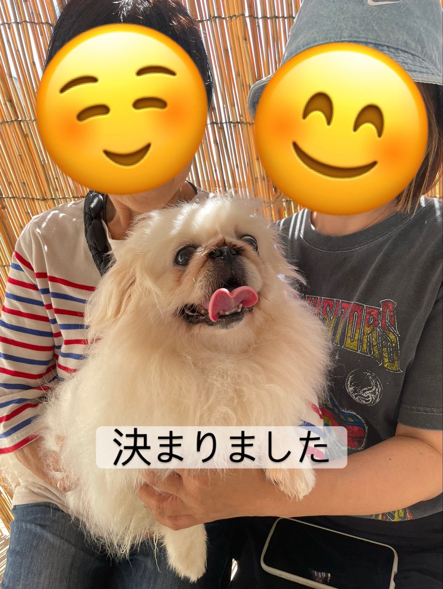 トミちゃん🐾
里親さま決まりました🐶