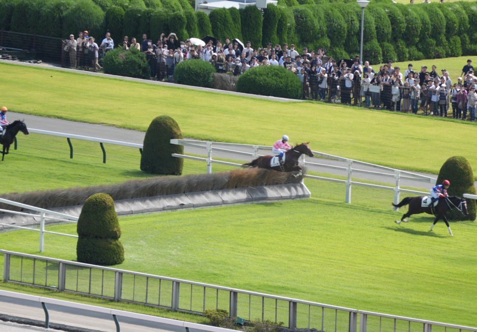 ピコイチ初障害、結果は残念でしたが無事に完走することが出来ました👏
今日はまず完走することが目標だったので、飛越の度に無事を祈りながらの応援でした💦
途中から飛越も上手に飛べるようになってきてて感動でした😭😭😭