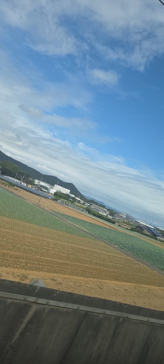 豊橋過ぎたら晴れてきた