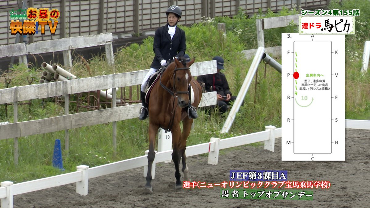 bashadaigaku's tweet image. 10/5放送の「お昼の快傑TV」のコーナー「馬ピカ」の競技会ハイライトシーンほかむつざわ町自慢話その1/東京・亀戸天神通りの老舗鶏肉専門店
youtu.be/aElnU0gEAw4
#お昼の快傑TV 　#馬ピカ　#むつざわ町　#乗馬クラブ　#田中憲一　#nicomaru　#鳥長
#まっ白いひろば #亀戸天神