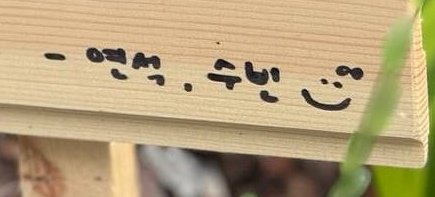 pannacottalov's tweet image. - 연석 , 수빈  :) 🎀
#유연석  #채수빈 🌱