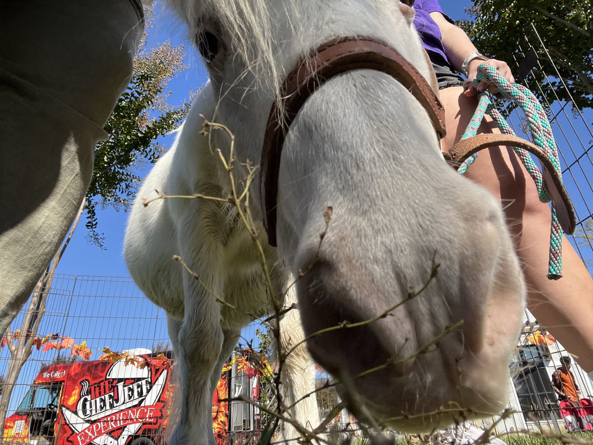 Christen (this is my indoor voice) Rexing,PhD,MPH tweet media