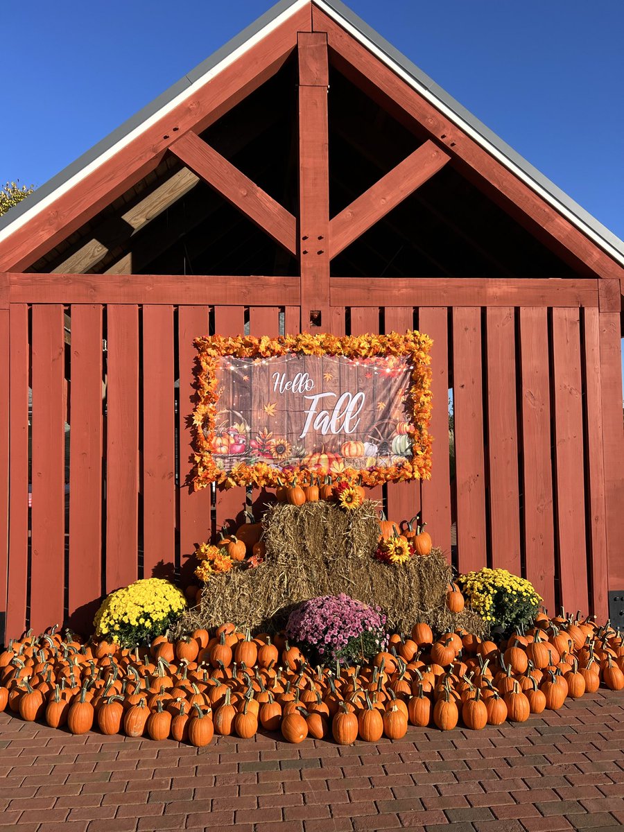 Christen (this is my indoor voice) Rexing,PhD,MPH tweet media