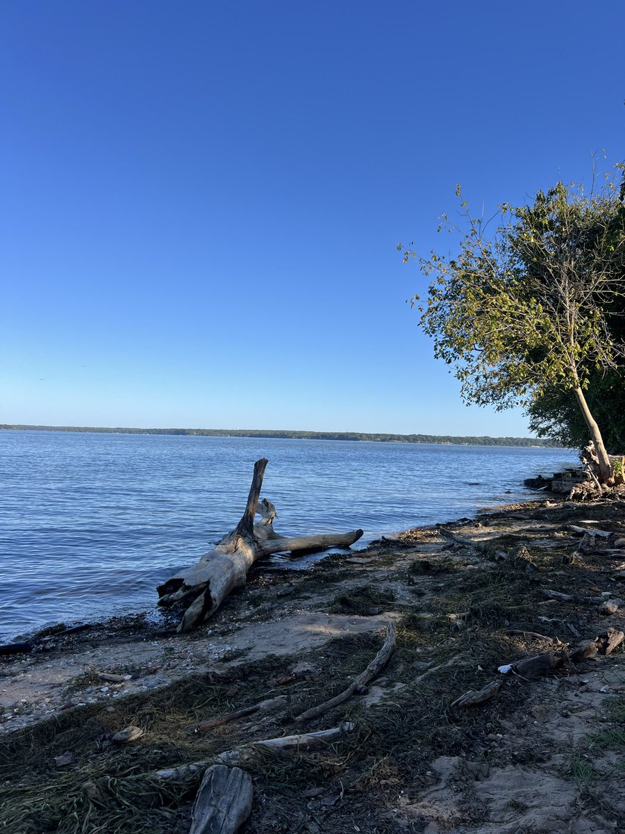 Christen (this is my indoor voice) Rexing,PhD,MPH tweet media