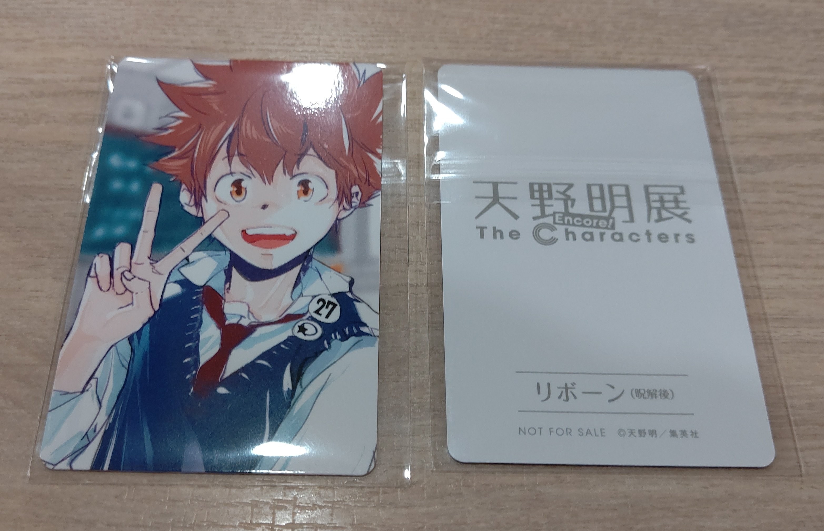 天野明展 自撮り 特典 トレカ カード リボーン 超ツナ ツナ&ナッツ 10年後 天野明展 自撮り 特典 トレカ カード リボーン 超ツナ ツナ