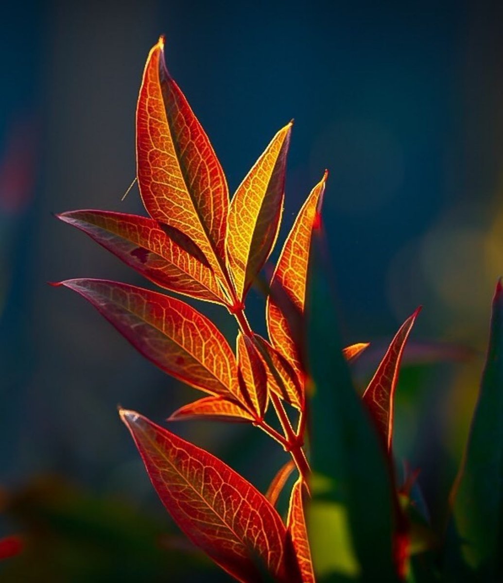 ـــــــــــــــــــ 

اللهم أرني عجائب صنعك في دعائي، وأرني لطفك ورحمتك في قضاء حوائجي، وأرني كرمك وقدرتك في ما تعلق به قلبي.🌧⇣ 

#يارب_اثر_لنا_ولوالدينا
ـــــــــــــــــــ 🍃📚🍃 ــــــــــــــــــ