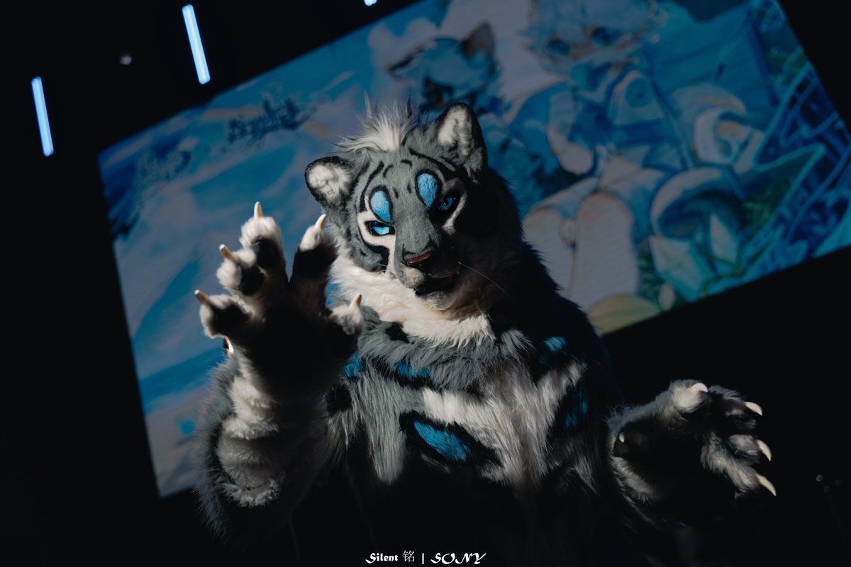 Hifurry

Photo by 銘