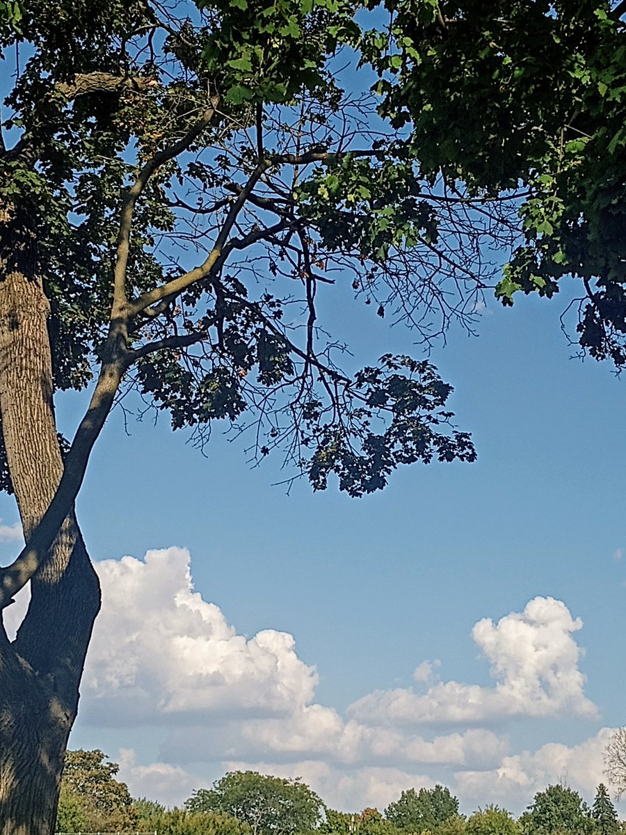 Suzanna_danna's tweet image. Here&apos;s to new beginnings!
        #PeaceAndLove