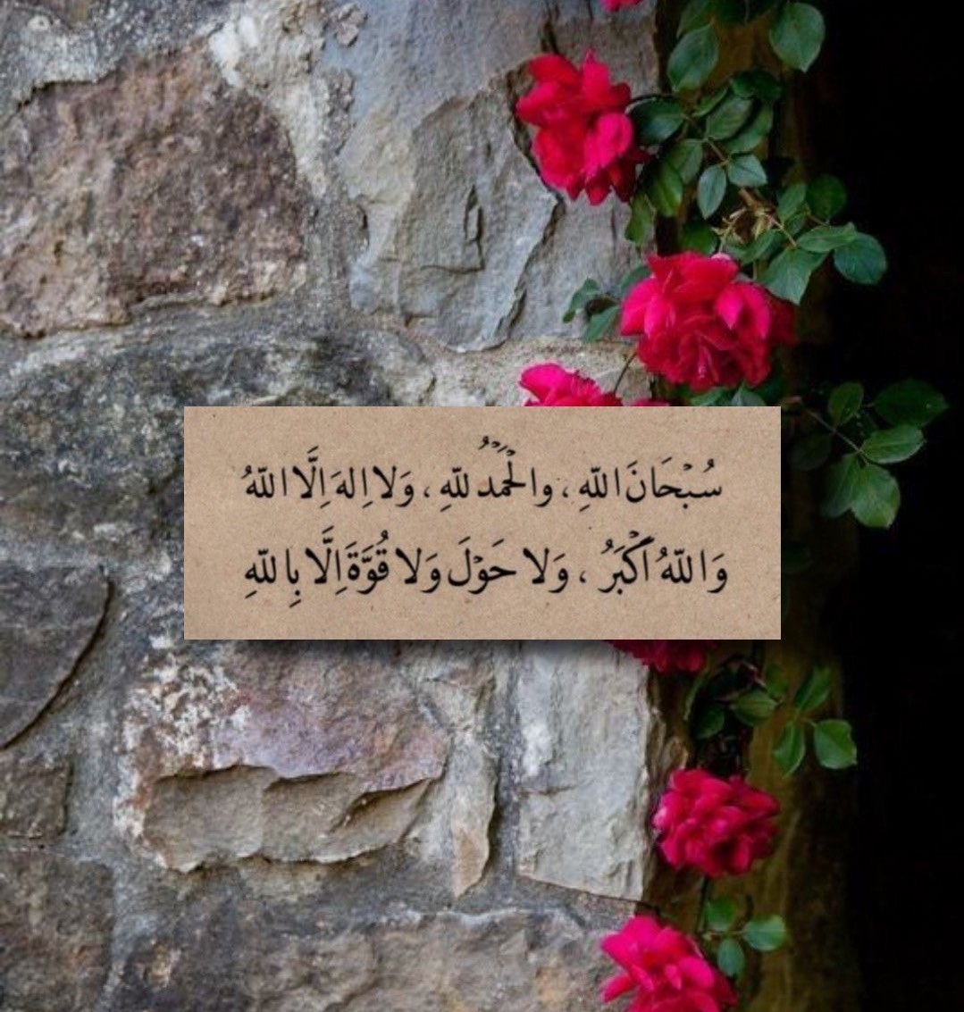 ْ

ْ

وعن ذِكر الله لا تغفلوا اذكرو الله يذُكركم🤍

--------------------
#ميمـَۿ