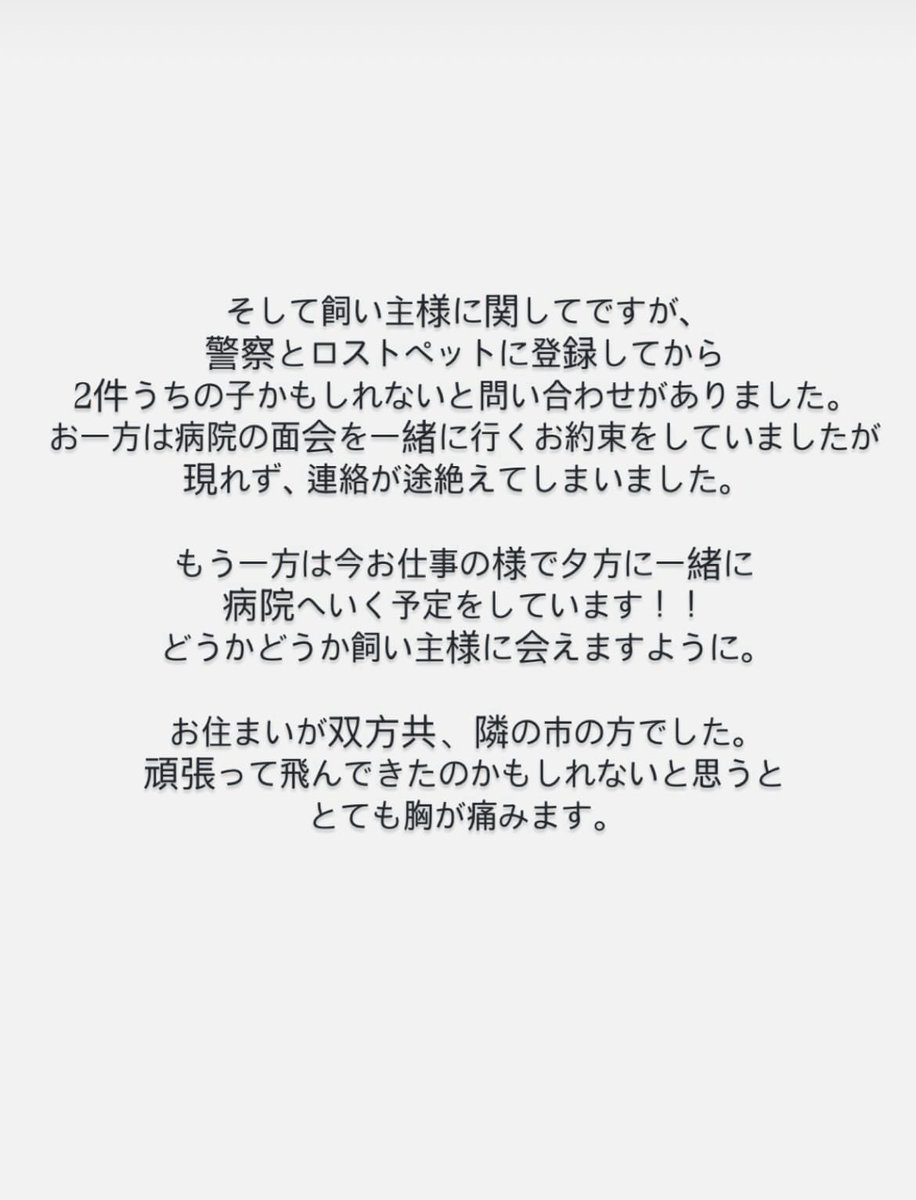 あーちゃん🐦🐥🫶💕︎︎ (@azazokame326) on Twitter photo 保護主さん更新されてました。
皆さん祈ってパワーみんなでオカメちゃんに送ろ😢😢😢🙏 保護主さん更新されてました。
皆さん祈ってパワーみんなでオカメちゃんに送ろ😢😢😢🙏