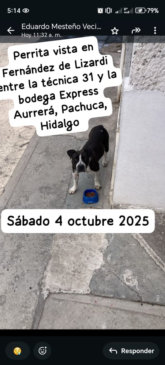 ZeroAbandonados (@zeroabandonados) on Twitter photo 