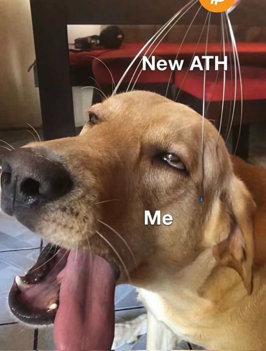 CryptoTea_'s tweet image. 