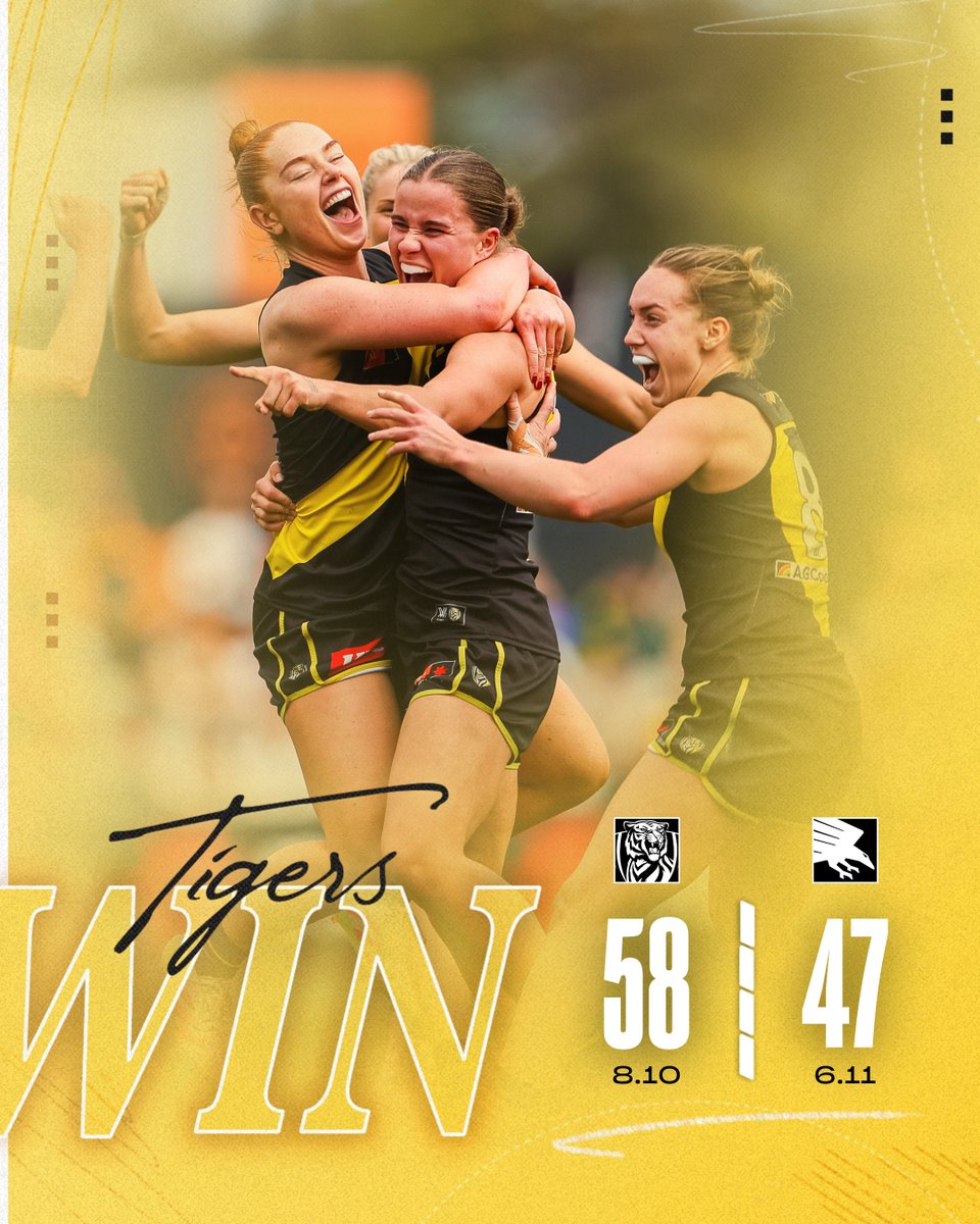 THAT FEELS GOOD! TIGERS WIN! 💛🖤