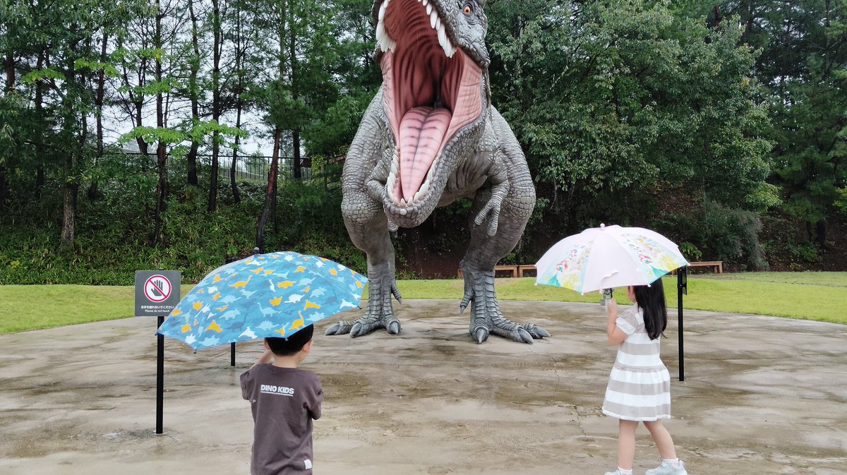 tsurutsurug3's tweet photo. あいにくの雨 https://t.co/td8U4yW6mc