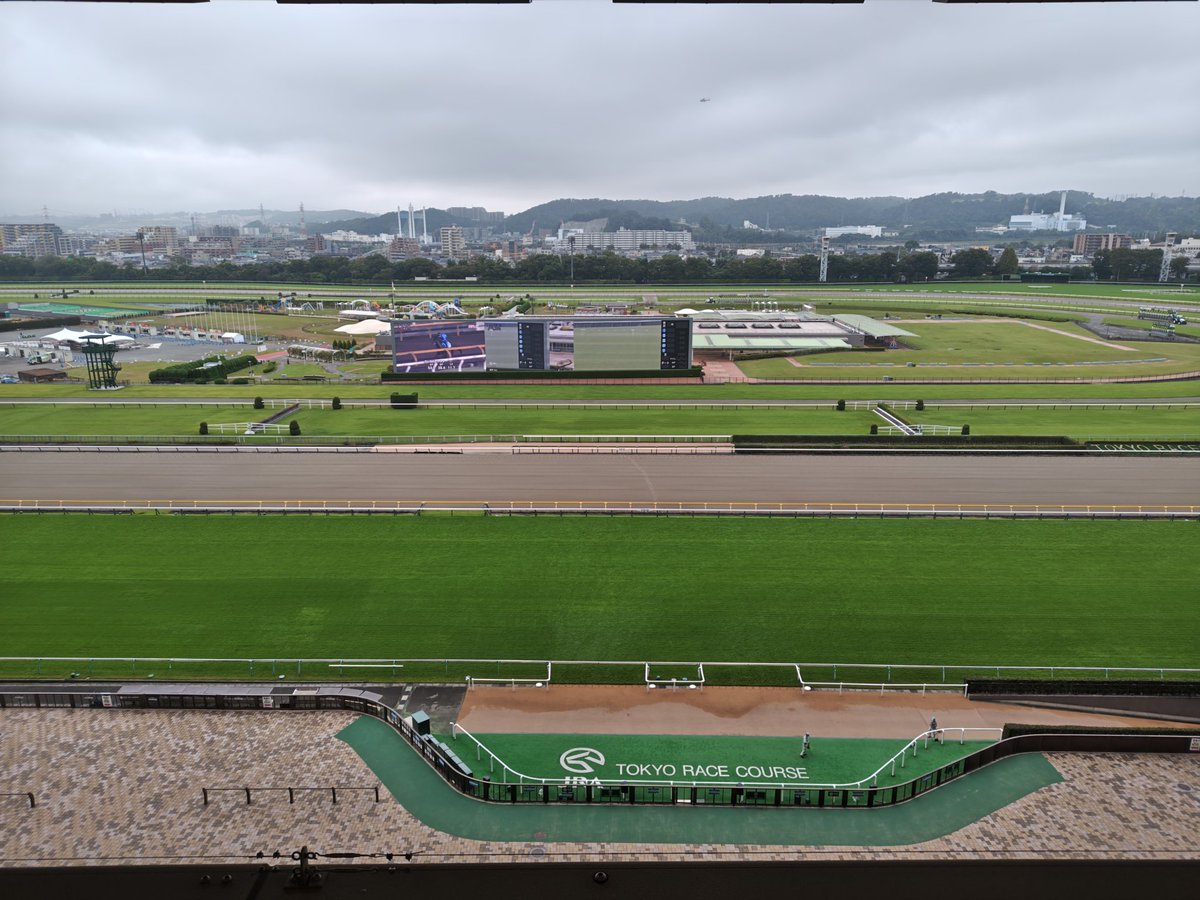 東京競馬場
