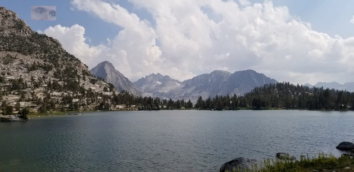 katjainstitute.bandcamp.com/album/elk-hark…
thealexjonesstore.com/products/alex-…