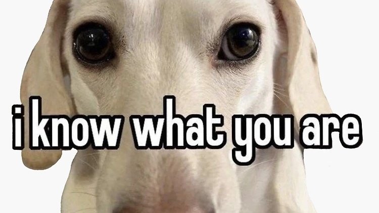 auntie at the function came over to show me her secret septum piercing and tell me she likes my shaved sides...