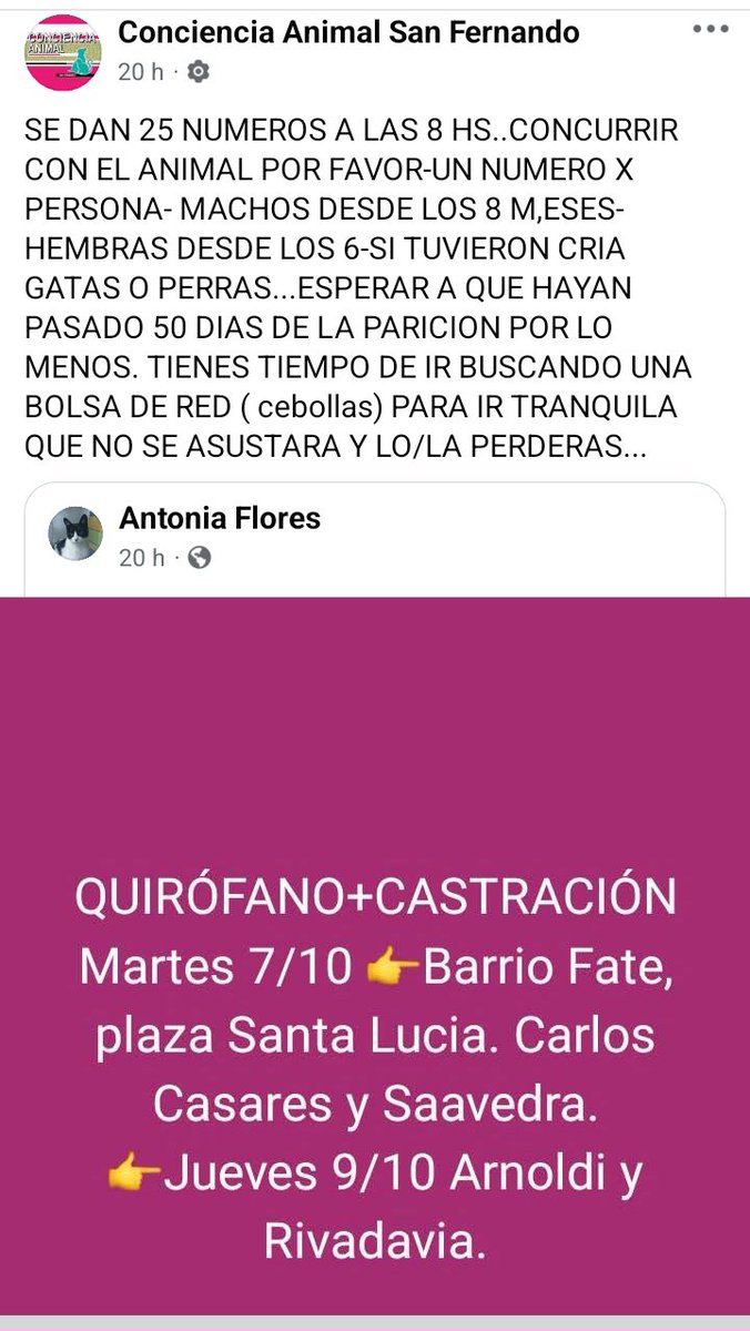 protegealanimal's tweet photo. SAN FERNANDO
#SANFERNANDO #BARRIOFATE #VIRREYES #ISLAS #BARRIOPRESIDENTEPERÓN #BARRIOSANJORGE #PLAZAINFICO #INFICO #BARRIOAVIACIÓN #BARRIOSANJOSÉ #VICTORIA #ZONANORTE #GRANBSAS #BSAS #BUENOSAIRES https://t.co/wNBBLb8Wrz