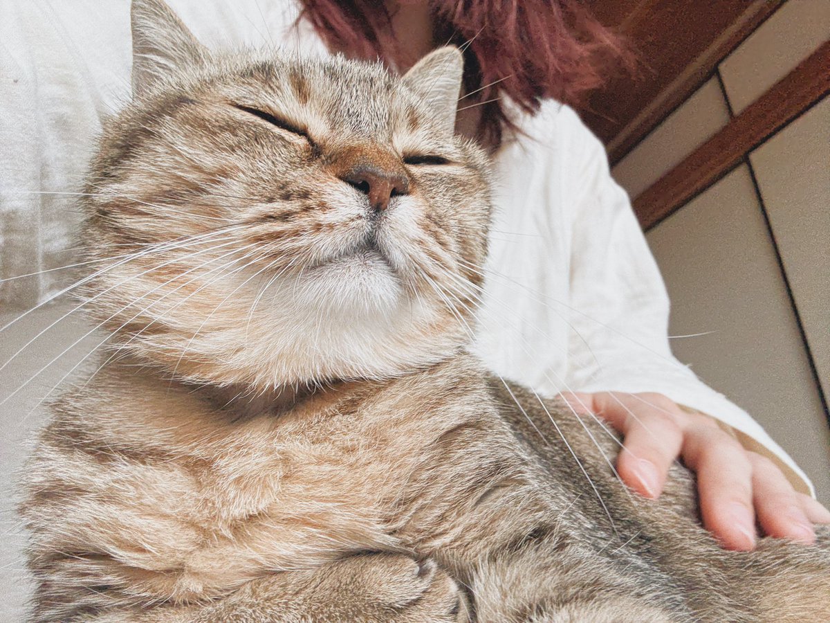 起きたか飼い主、起きるのを待っていた
今日は まるぴといっしょにいてよ〜
