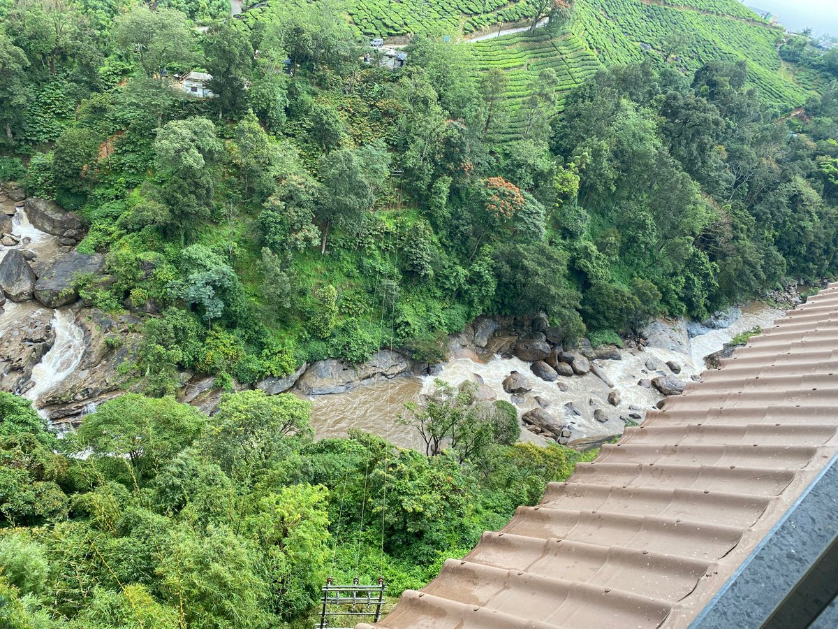 RajeshWadhwa13's tweet photo. #coffee #gardens at #munaar #India https://t.co/tGGuq4QsSQ