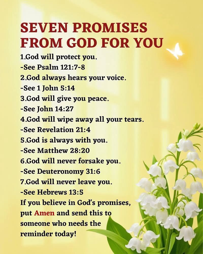 Bernice Pilgrim 🇺🇸👼 (@pilgrimber29851) on Twitter photo 