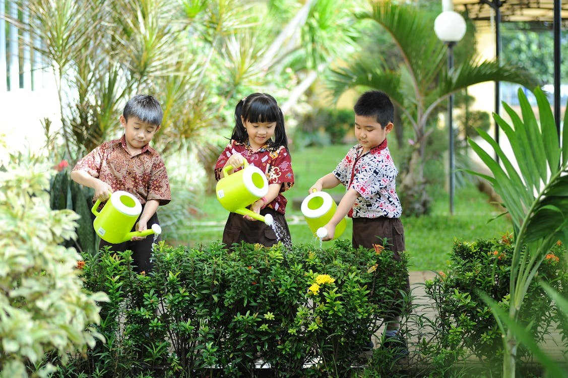 BarrettGardens's tweet image. 🌱👧🧒 Kids learn best when they grow! Gardening teaches patience, care &amp;amp; love for the earth. 🌻

#ChildrensGarden #BarrettGardensAndMore #LearningThroughNature

Start growing 👉 barrettgardensandmore.com