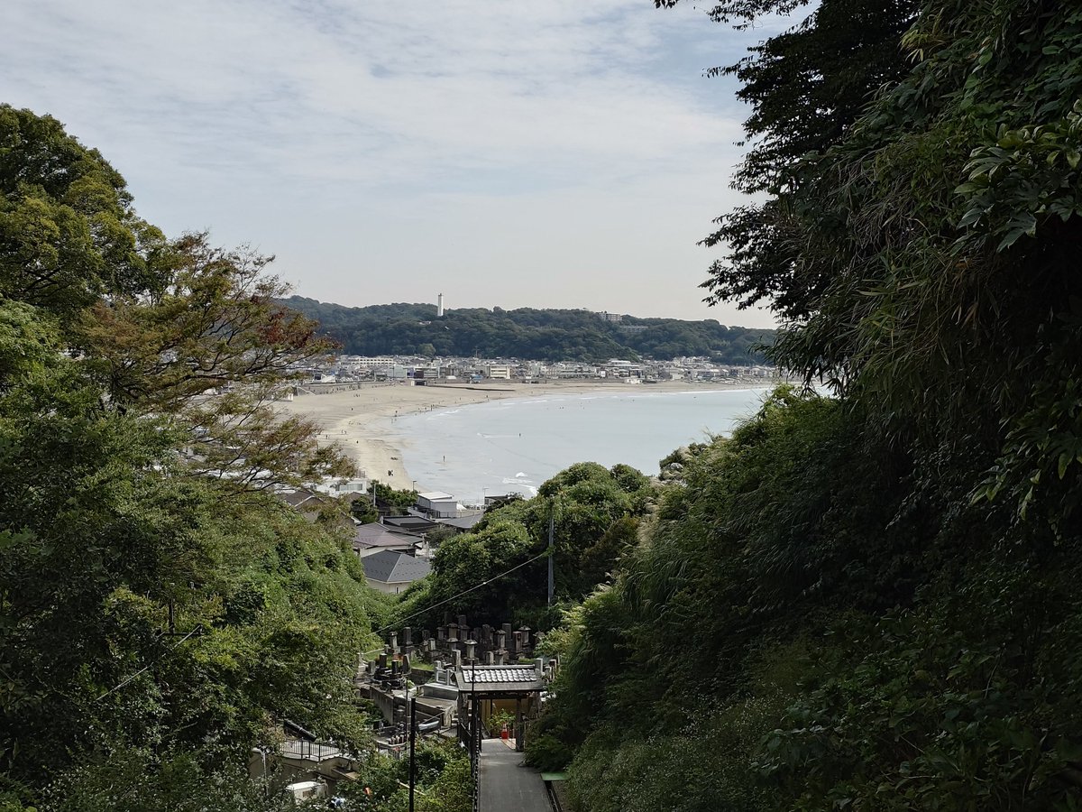 shonanboy_ifc's tweet image. おはようございます。

秋の鎌倉散歩⑦

成就院

佳き一日、休日を。
＃鎌倉　＃成就院　＃秋海棠