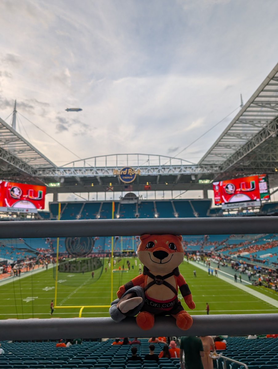 Shop Floki tweet media