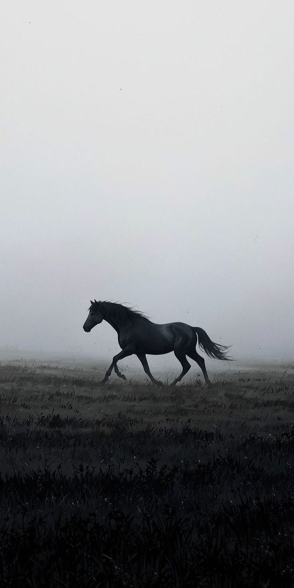 blackdreamvibes's tweet image. 